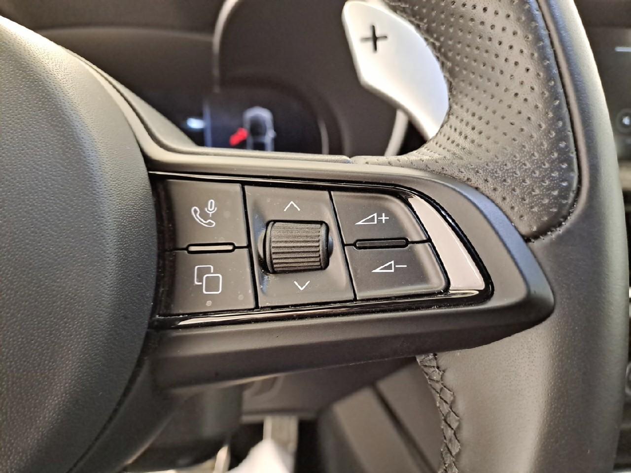 Alfa Romeo Alfa Romeo Stelvio usata 9