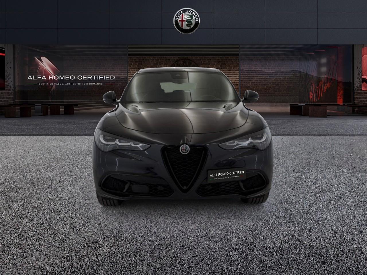 Alfa Romeo Alfa Romeo Stelvio usata 11