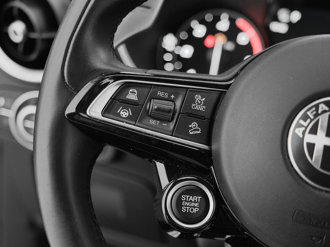 Alfa Romeo Alfa Romeo Stelvio usata 3
