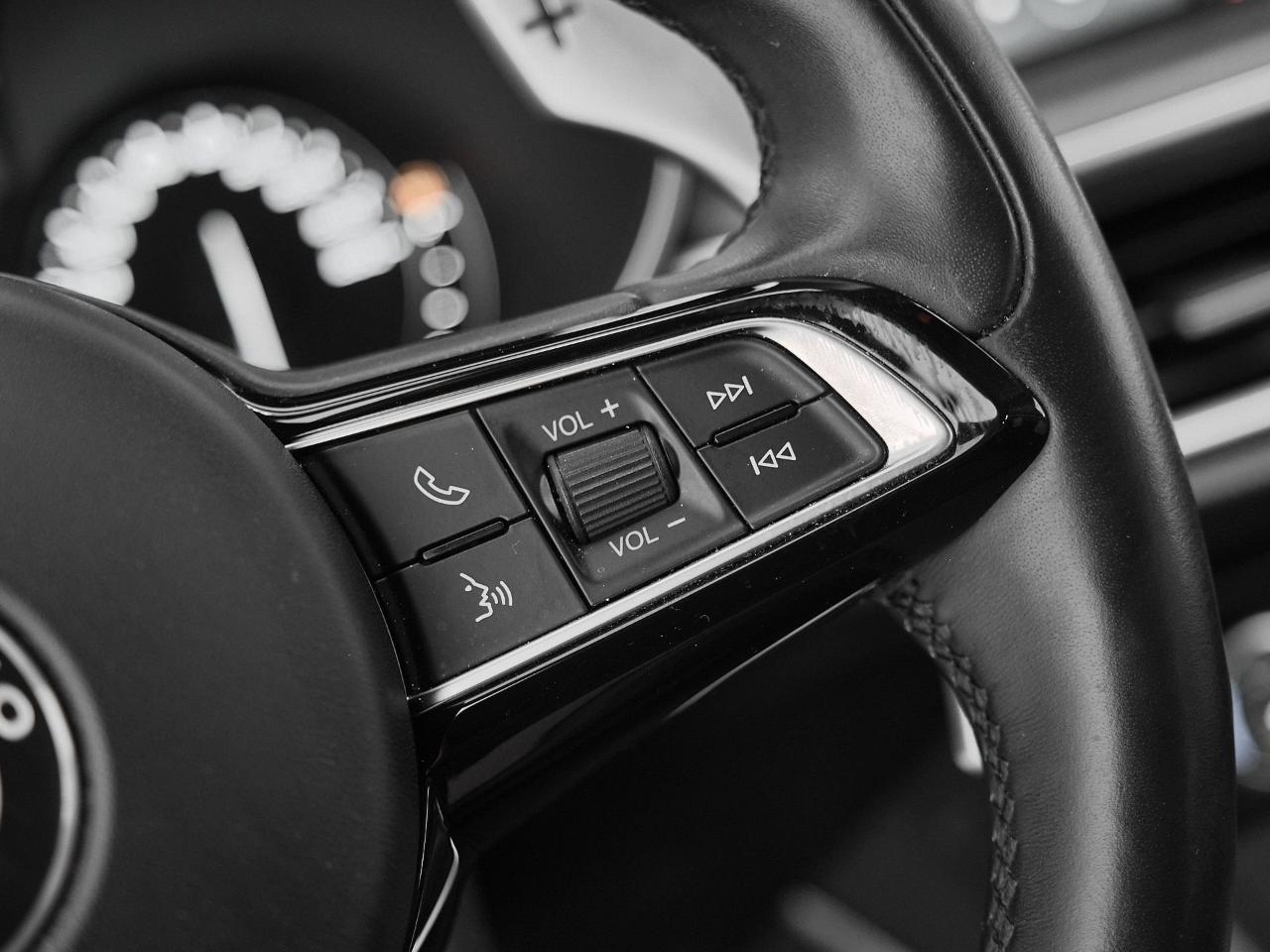 Alfa Romeo Alfa Romeo Stelvio usata 4