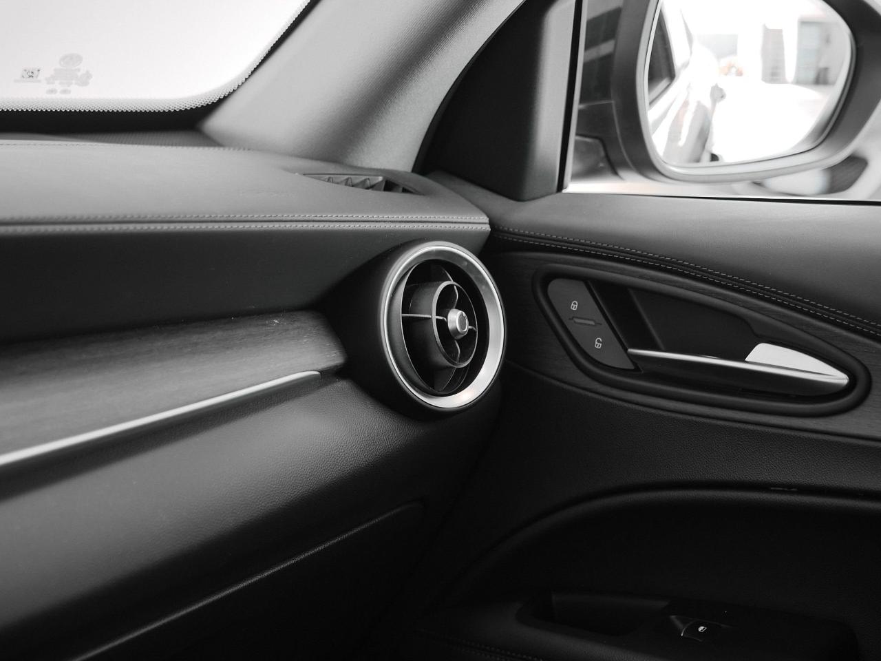 Alfa Romeo Alfa Romeo Stelvio usata 12