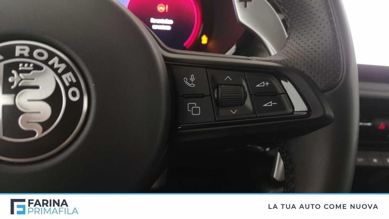 Alfa Romeo Alfa Romeo Tonale usata 12