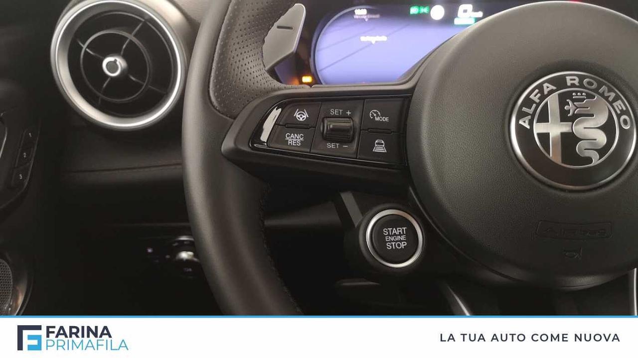 Alfa Romeo Alfa Romeo Tonale usata 13