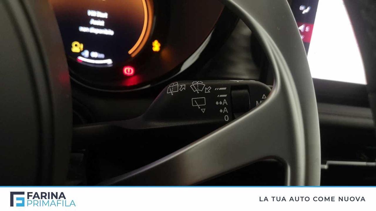 Alfa Romeo Alfa Romeo Tonale usata 14
