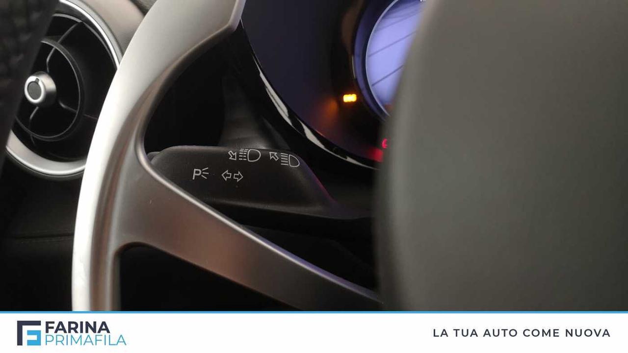 Alfa Romeo Alfa Romeo Tonale usata 15
