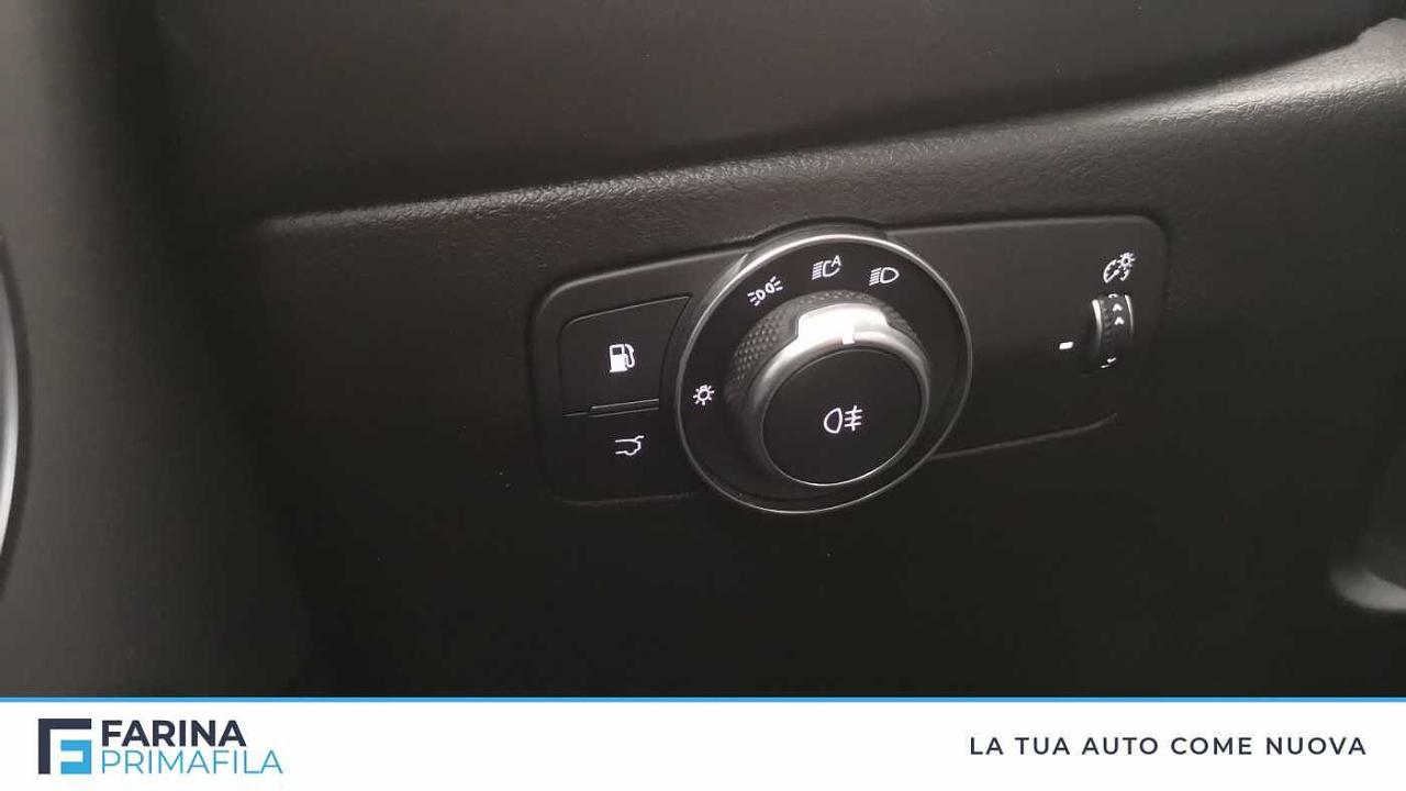 Alfa Romeo Alfa Romeo Tonale usata 16