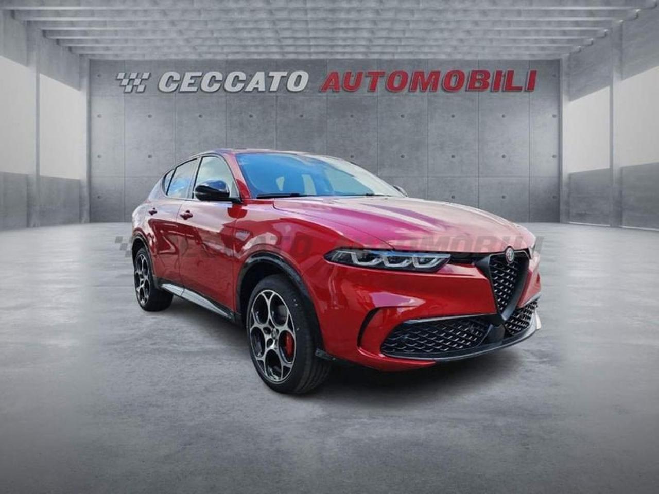 Alfa Romeo Alfa Romeo Tonale usata 8