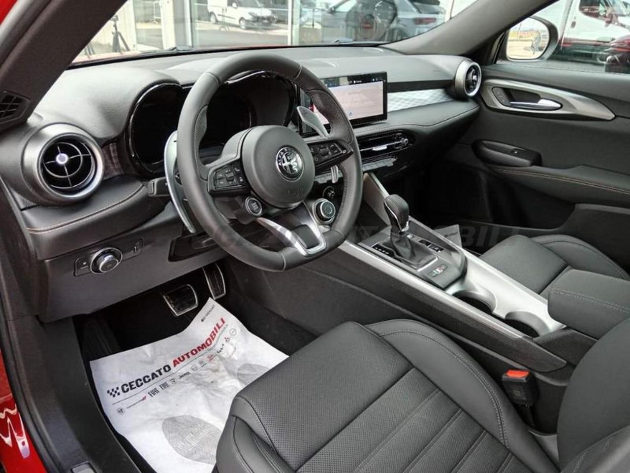 Alfa Romeo Alfa Romeo Tonale usata 13