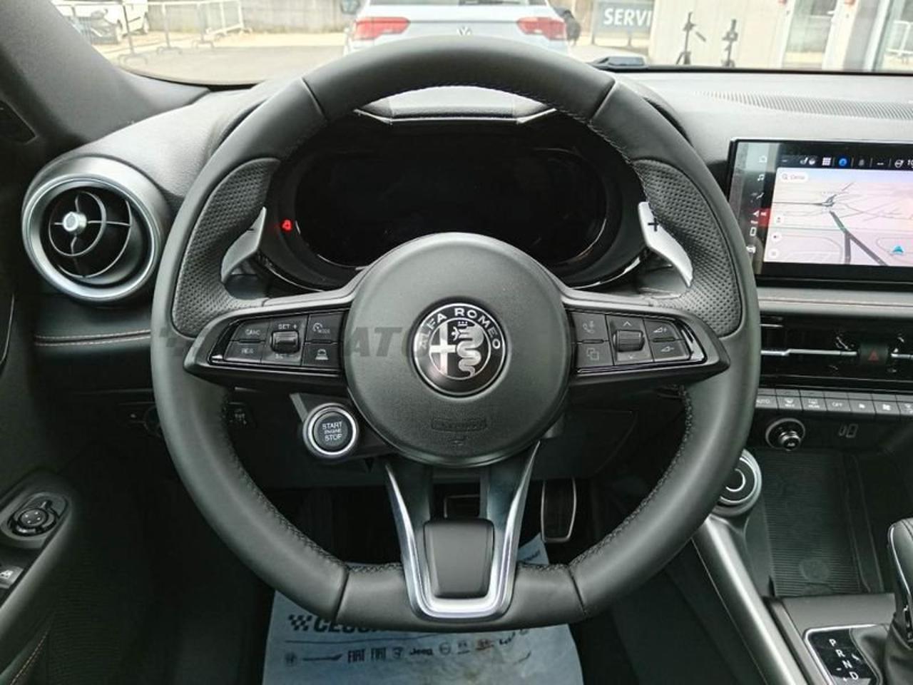 Alfa Romeo Alfa Romeo Tonale usata 14