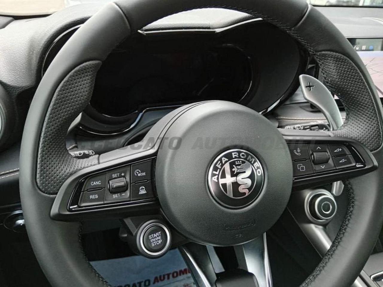 Alfa Romeo Alfa Romeo Tonale usata 15