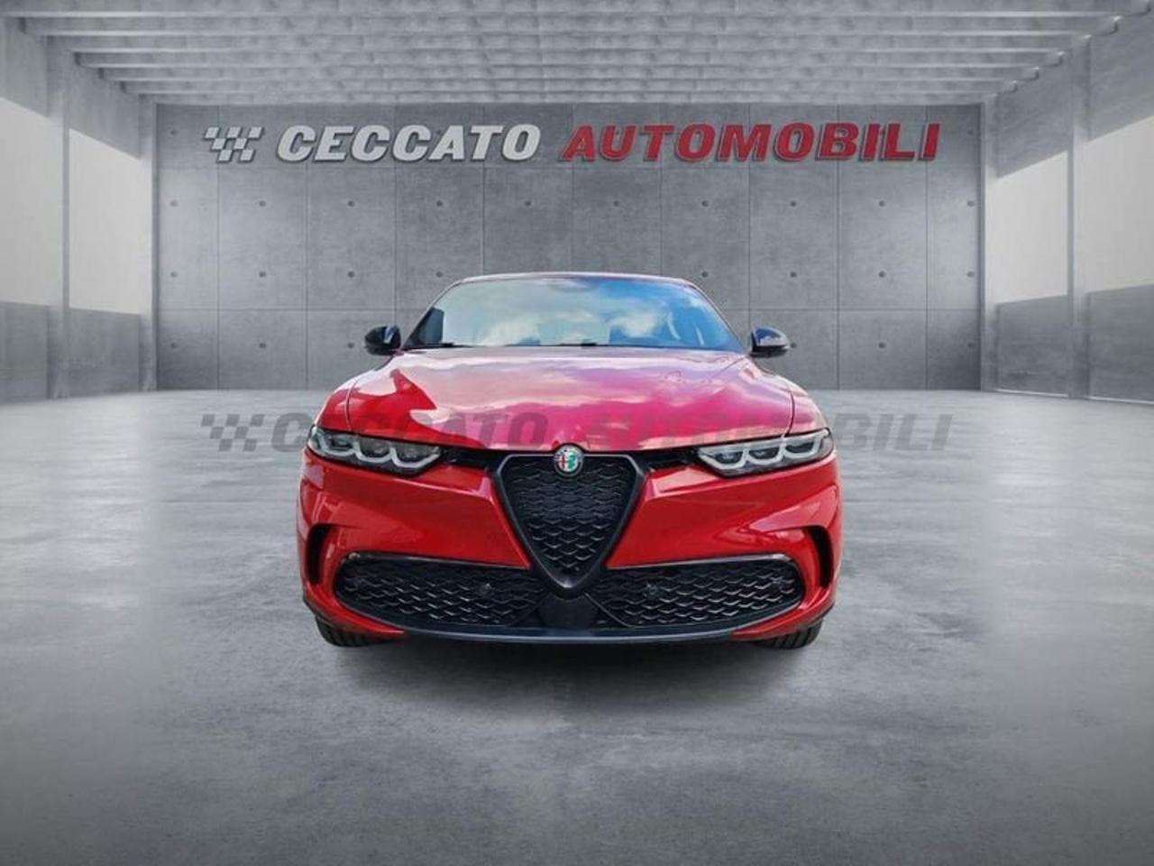 Alfa Romeo Alfa Romeo Tonale usata 18