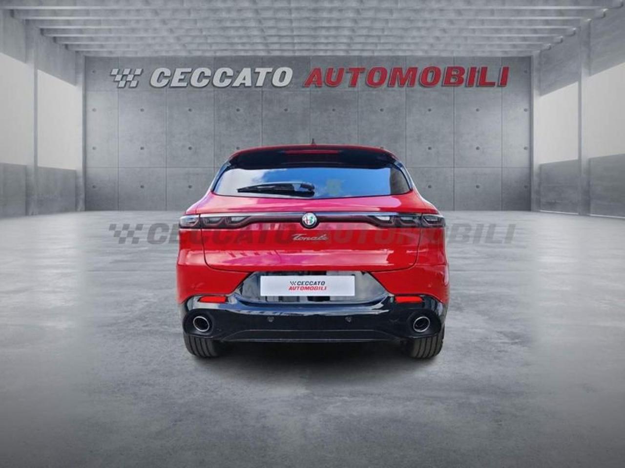 Alfa Romeo Alfa Romeo Tonale usata 19