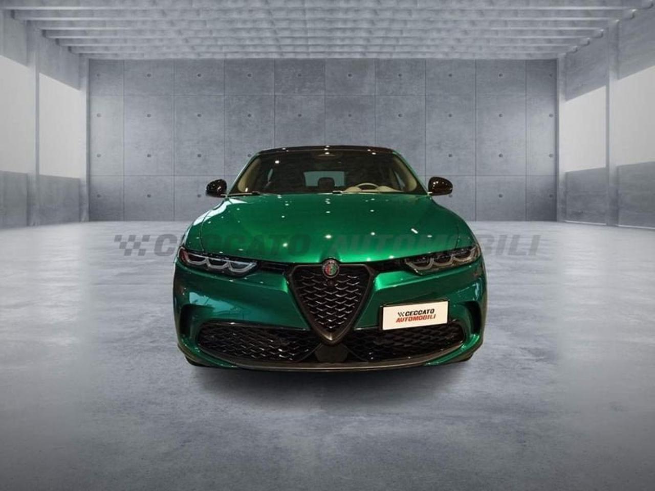 Alfa Romeo Alfa Romeo Tonale usata 11