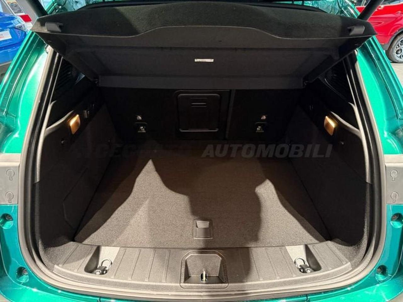 Alfa Romeo Alfa Romeo Tonale usata 15