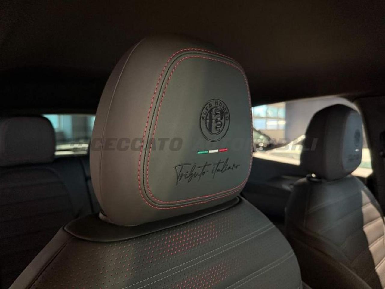 Alfa Romeo Alfa Romeo Tonale usata 19