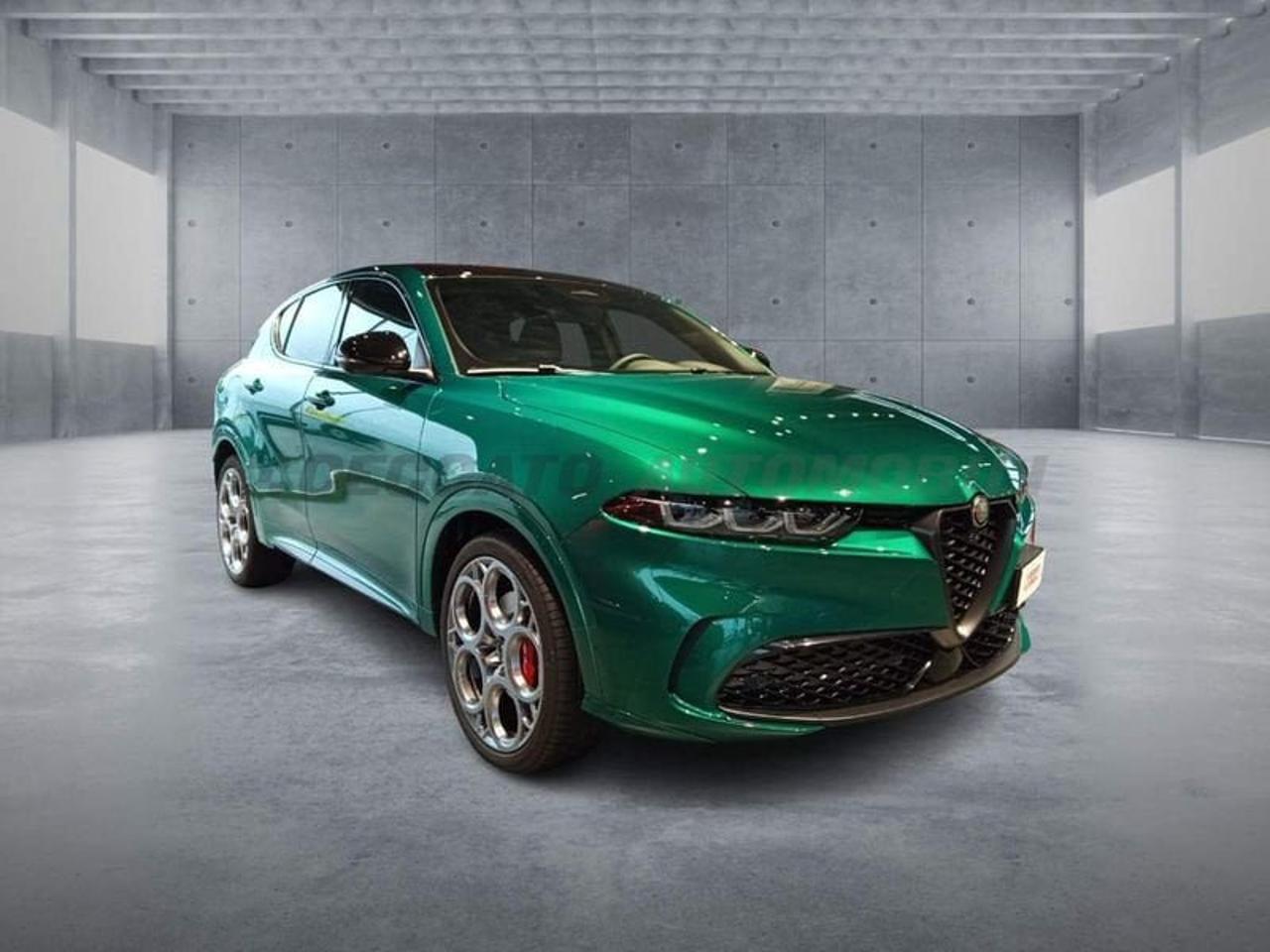 Alfa Romeo Alfa Romeo Tonale usata 21