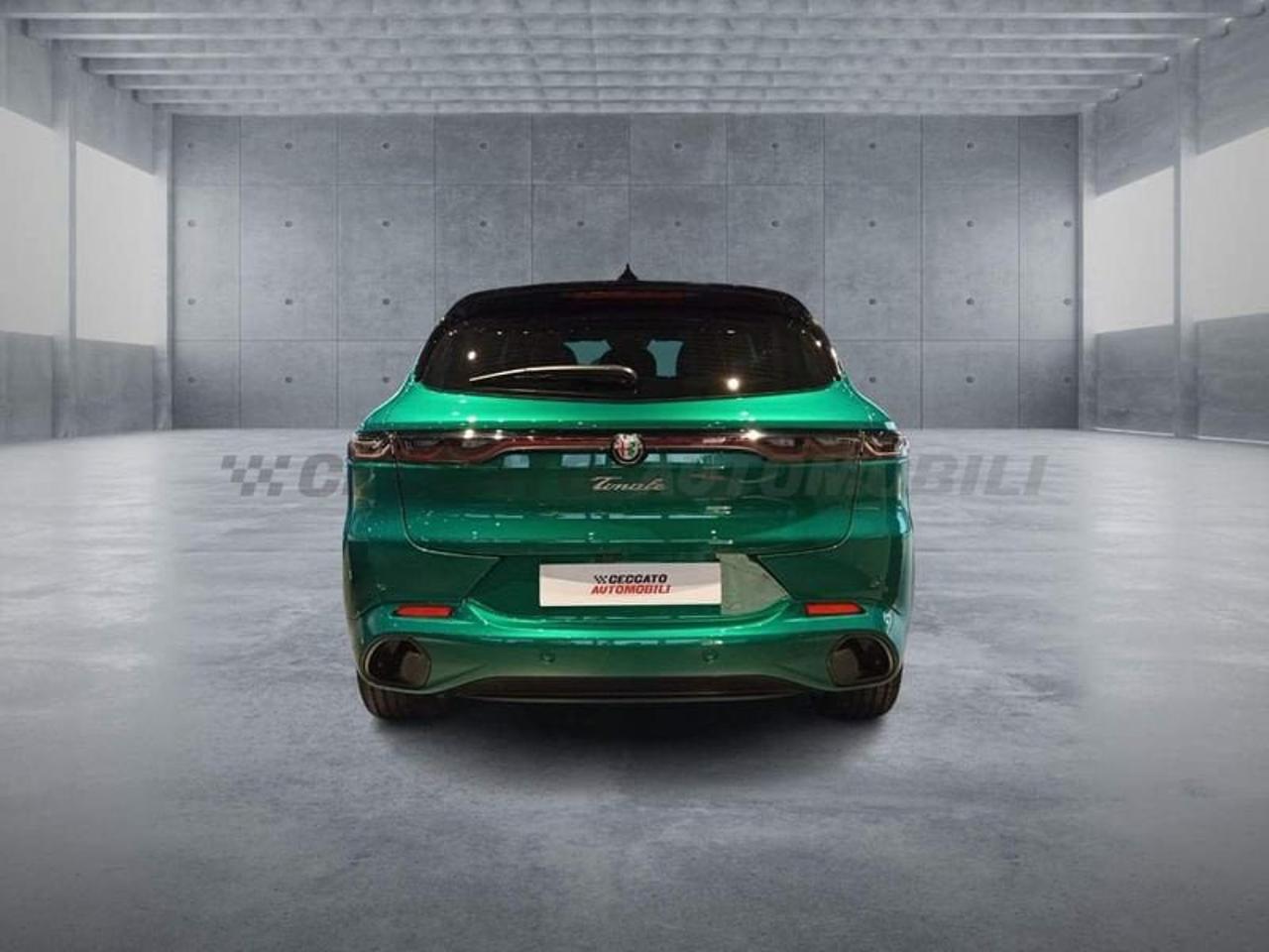 Alfa Romeo Alfa Romeo Tonale usata 22