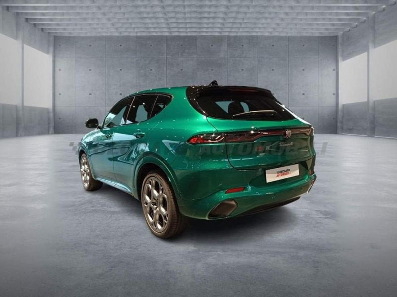 Alfa Romeo Alfa Romeo Tonale usata 23