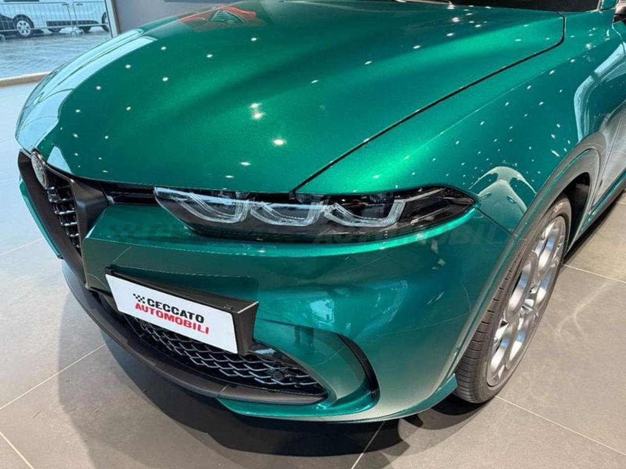 Alfa Romeo Alfa Romeo Tonale usata 24