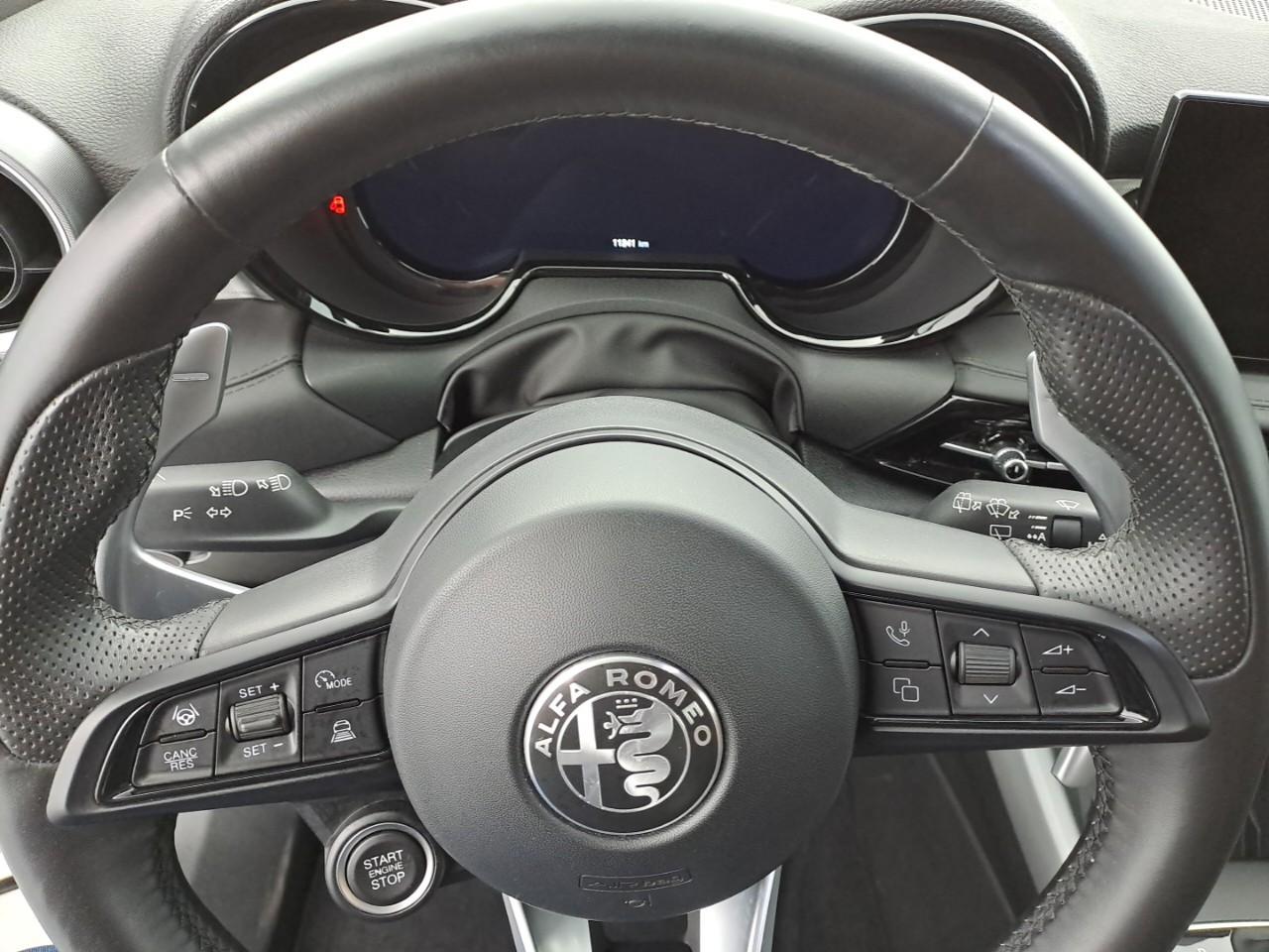 Alfa Romeo Alfa Romeo Tonale usata 12