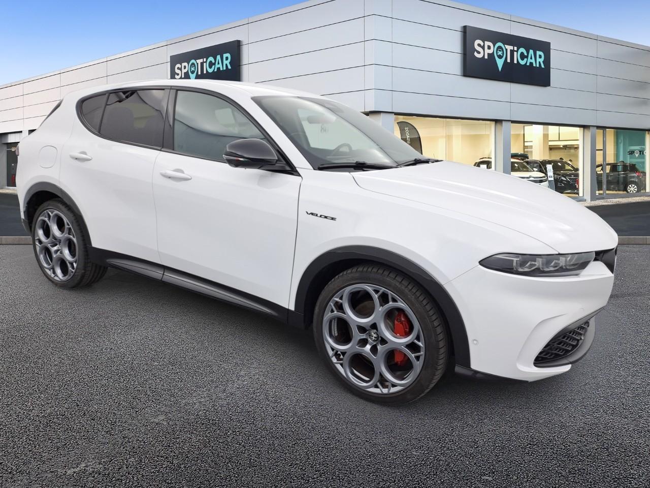 Alfa Romeo Alfa Romeo Tonale usata 15