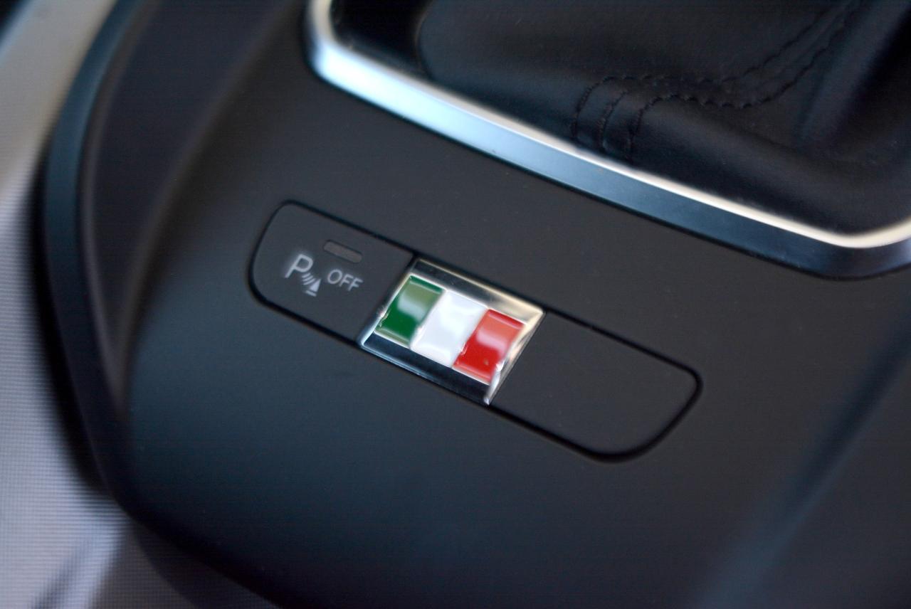 Alfa Romeo Alfa Romeo Tonale usata 10