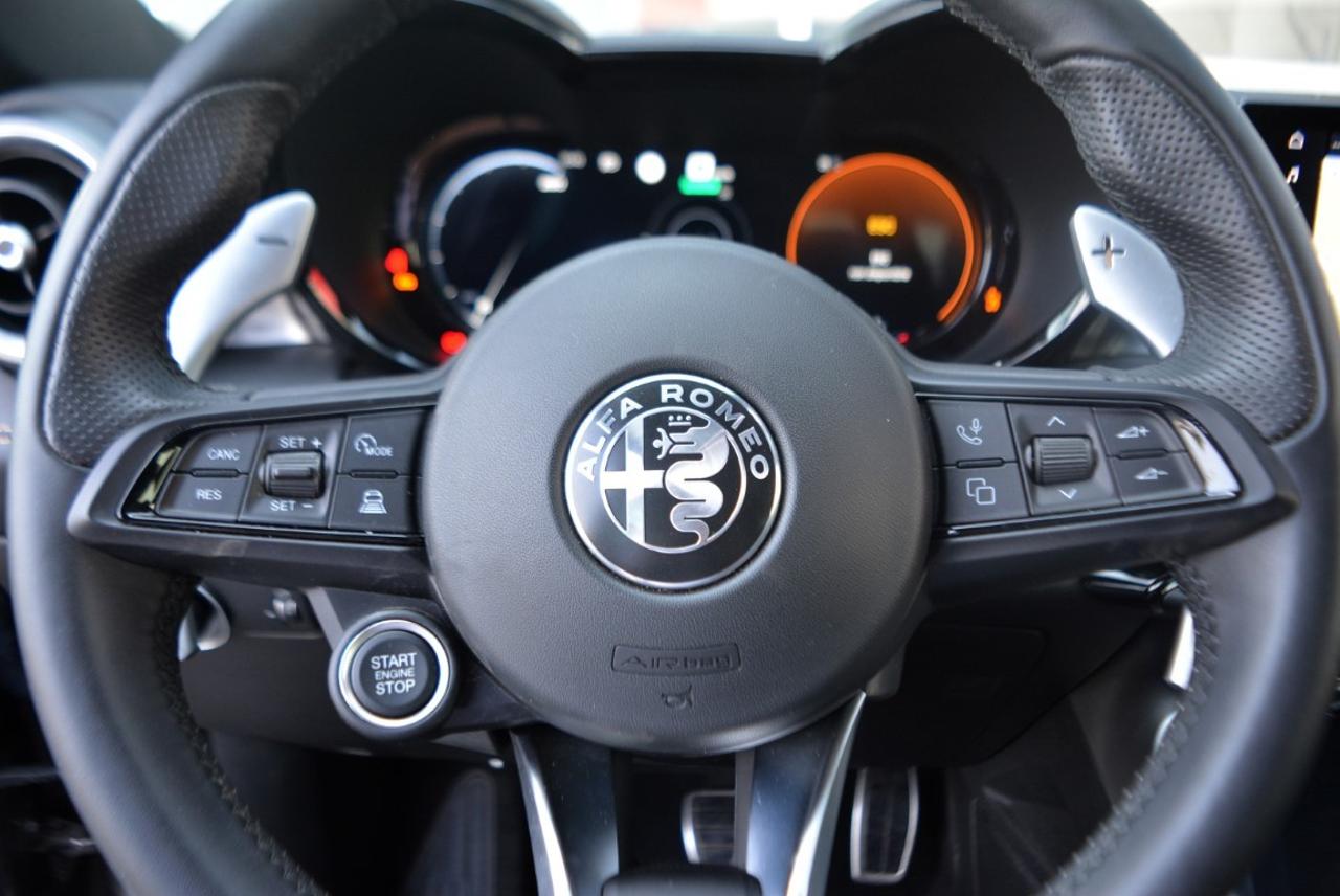 Alfa Romeo Alfa Romeo Tonale usata 7