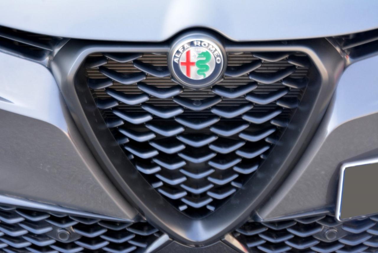 Alfa Romeo Alfa Romeo Tonale usata 13