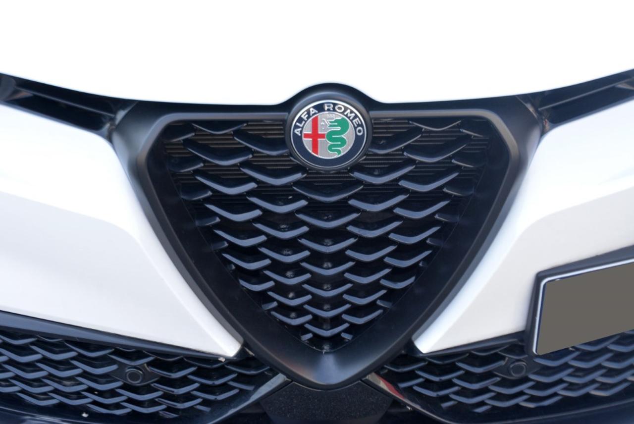 Alfa Romeo Alfa Romeo Tonale usata 13