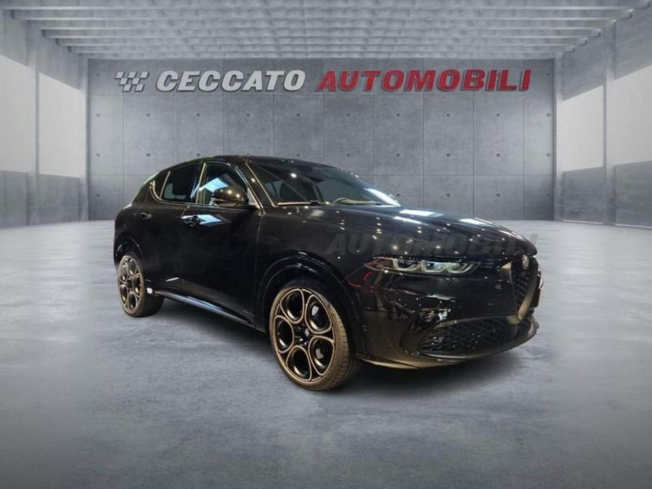 Alfa Romeo Alfa Romeo Tonale usata 7