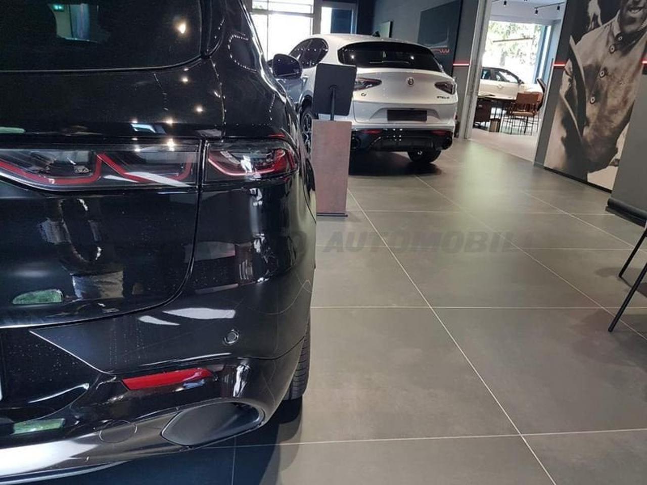Alfa Romeo Alfa Romeo Tonale usata 10