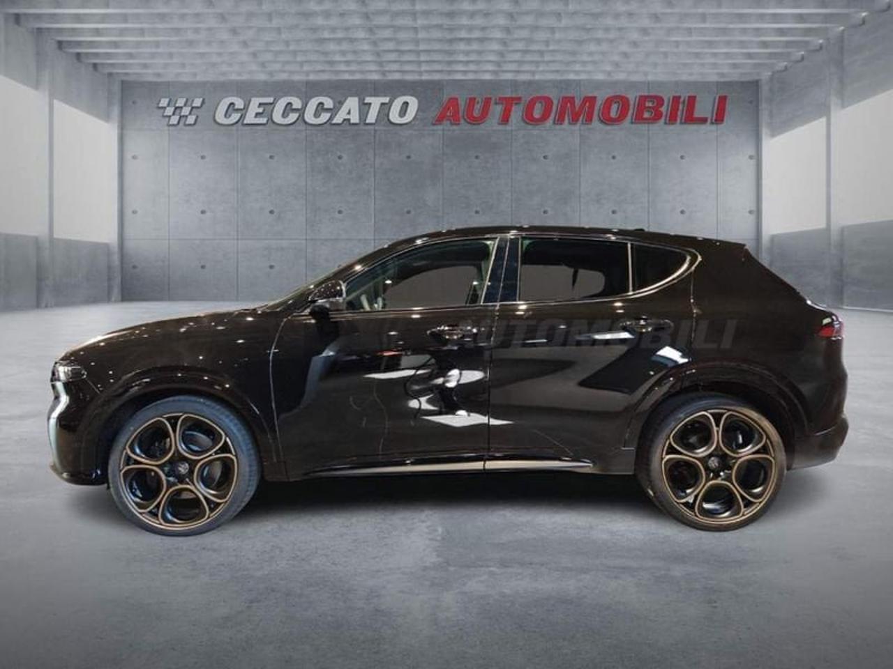 Alfa Romeo Alfa Romeo Tonale usata 11
