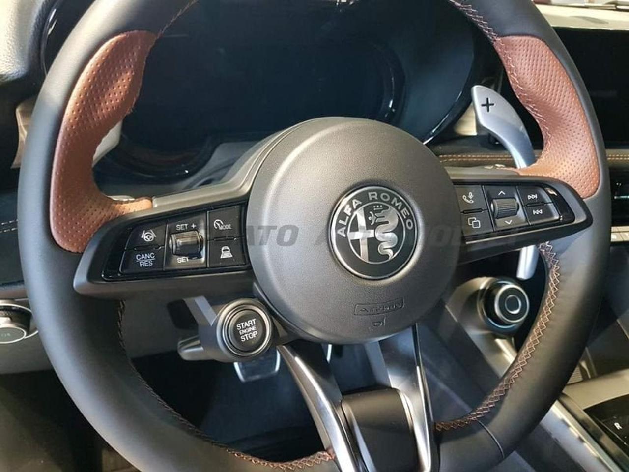 Alfa Romeo Alfa Romeo Tonale usata 14