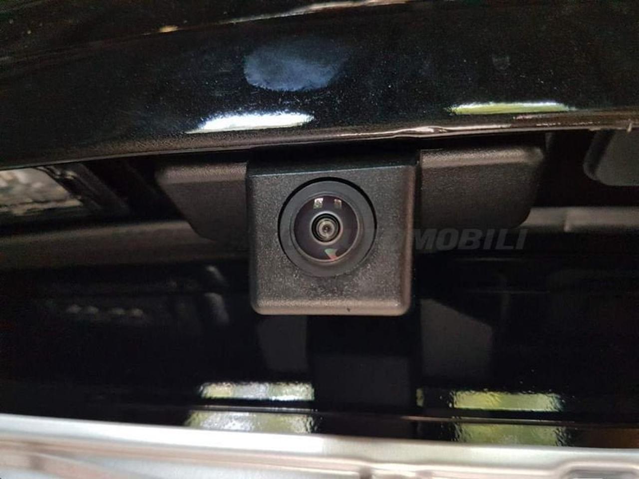 Alfa Romeo Alfa Romeo Tonale usata 15