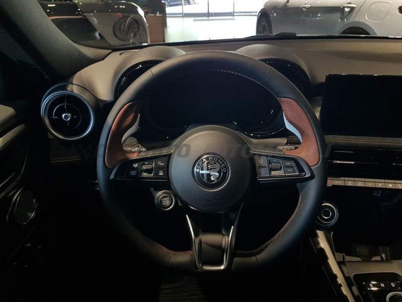 Alfa Romeo Alfa Romeo Tonale usata 13