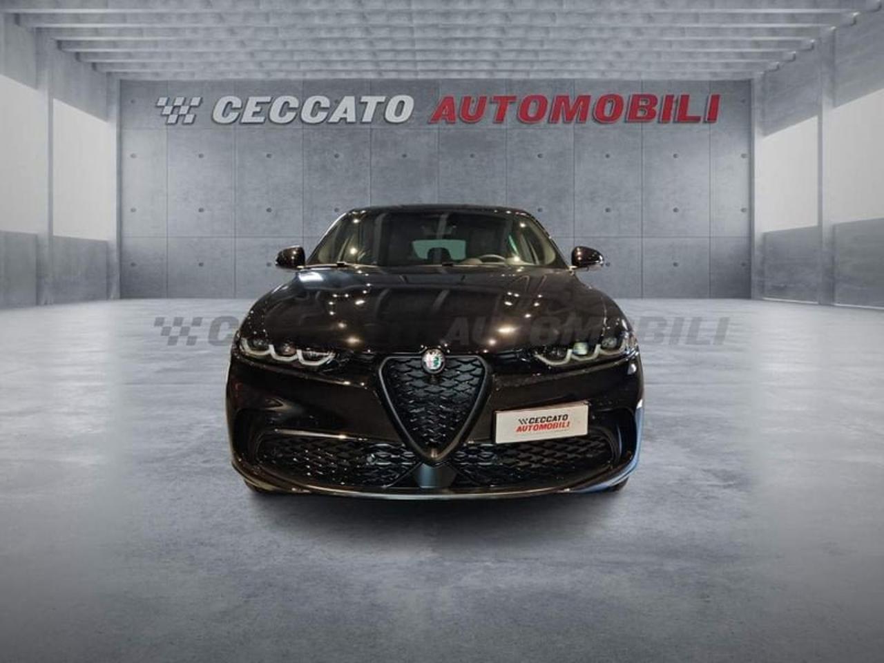 Alfa Romeo Alfa Romeo Tonale usata 17
