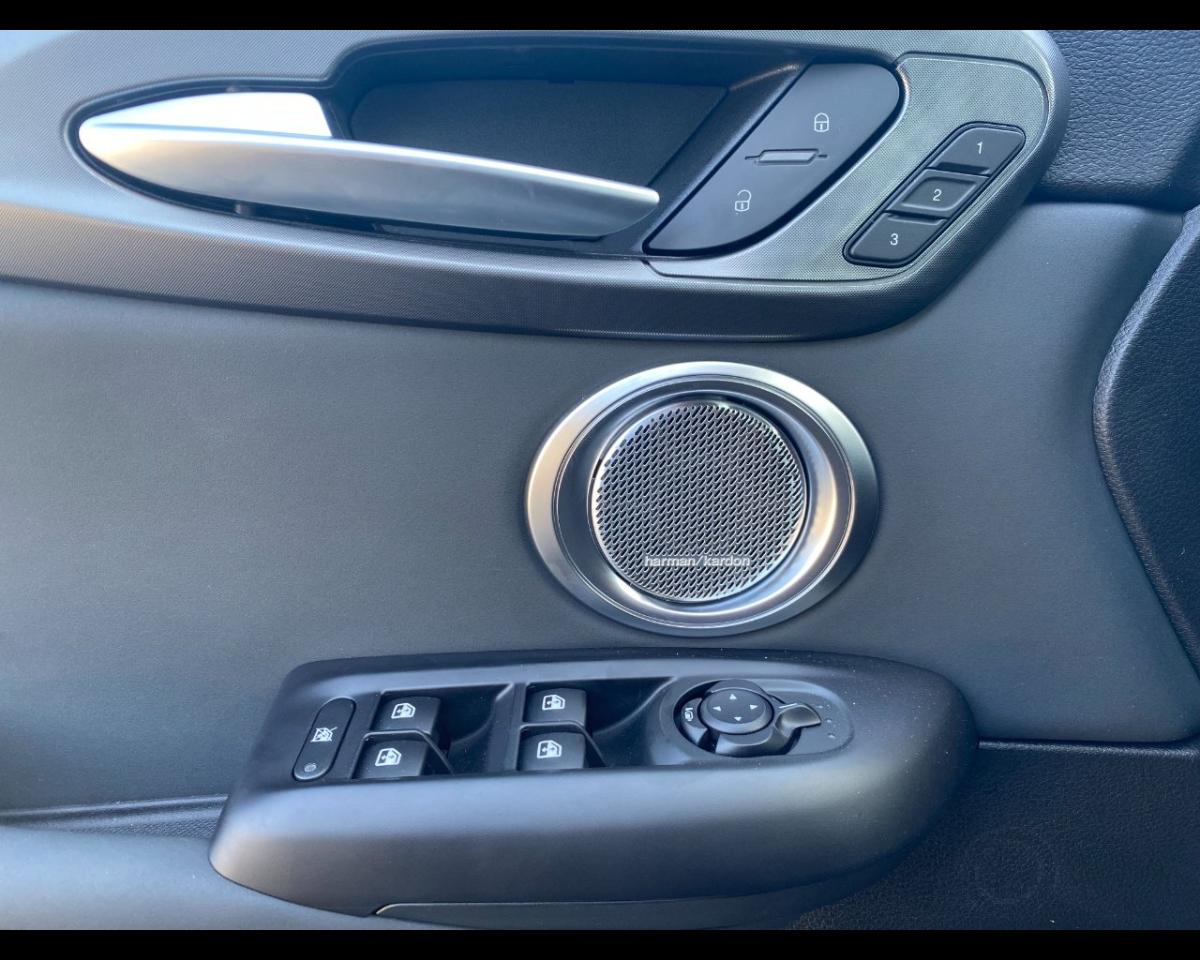 Alfa Romeo Alfa Romeo Tonale usata 15