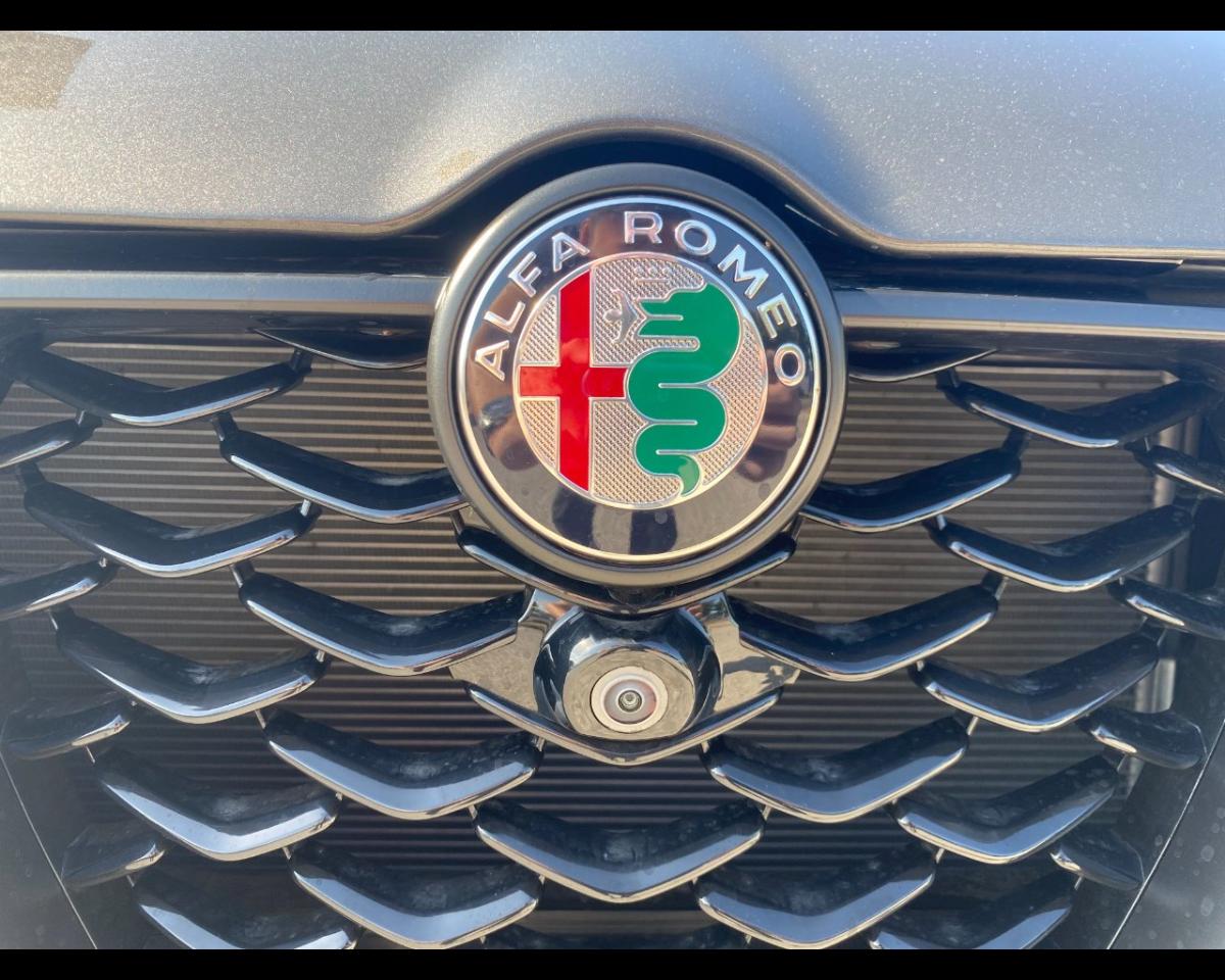 Alfa Romeo Alfa Romeo Tonale usata 19