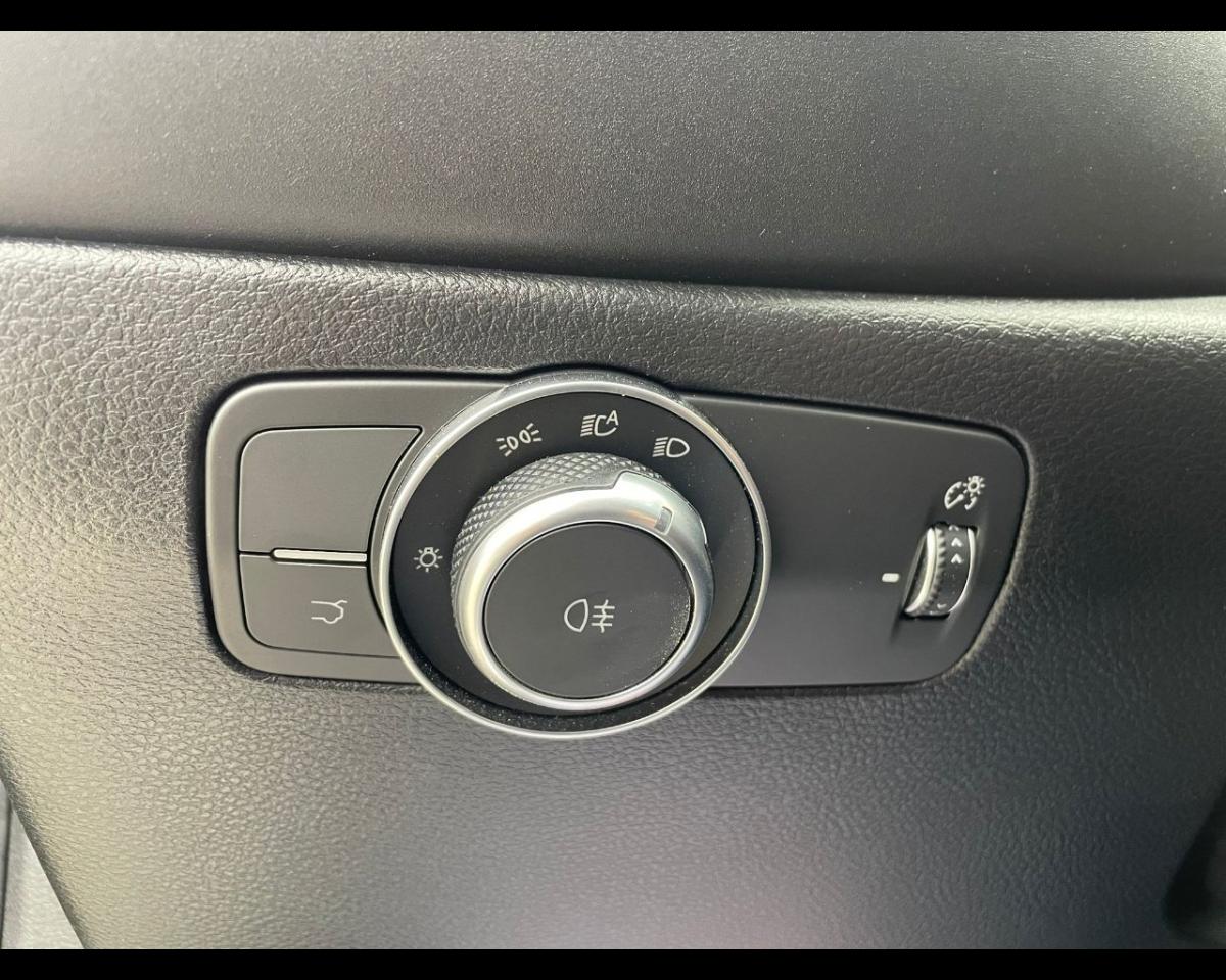 Alfa Romeo Alfa Romeo Tonale usata 15