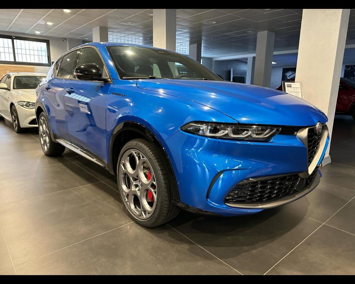 Alfa Romeo Alfa Romeo Tonale usata 14