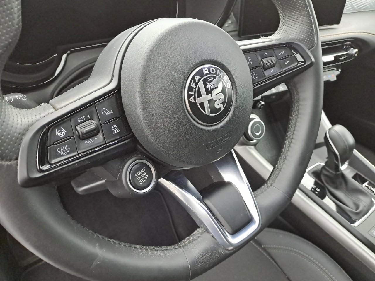 Alfa Romeo Alfa Romeo Tonale usata, con assistenza al parcheggio posteriore e con monitor