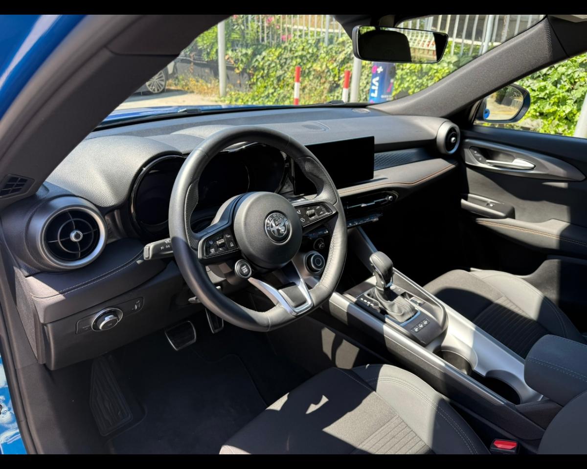 Alfa Romeo Alfa Romeo Tonale usata 13