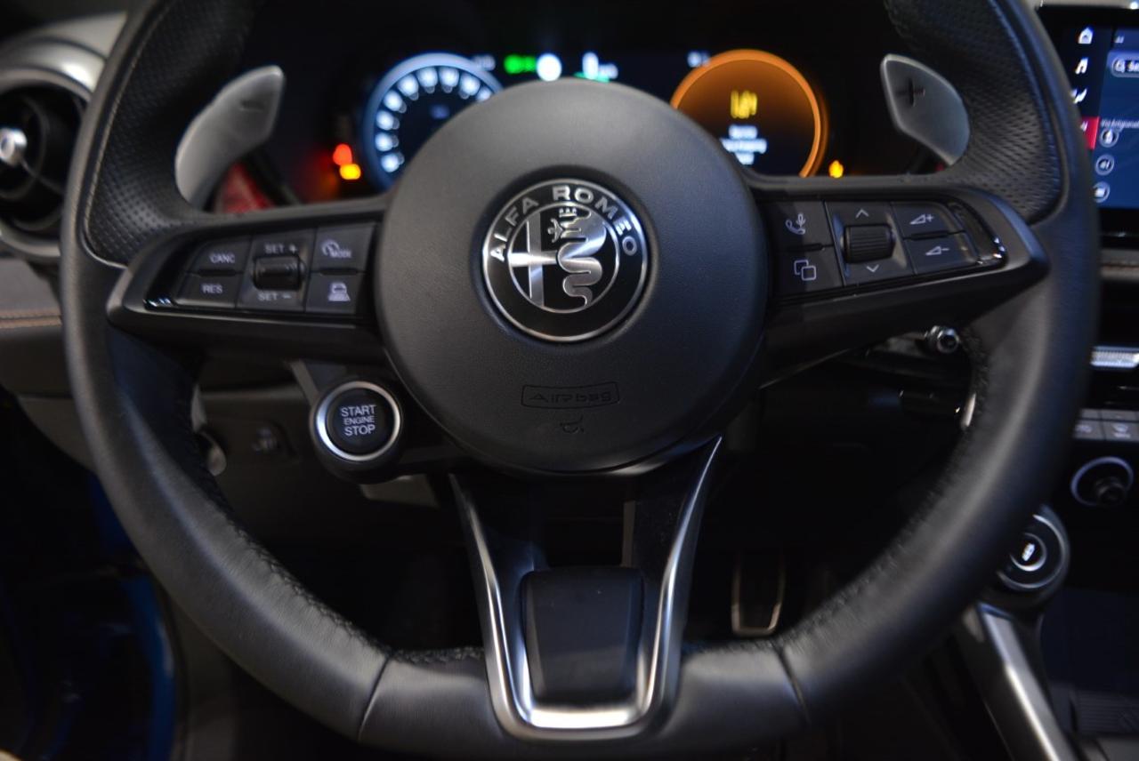 Alfa Romeo Alfa Romeo Tonale usata 7