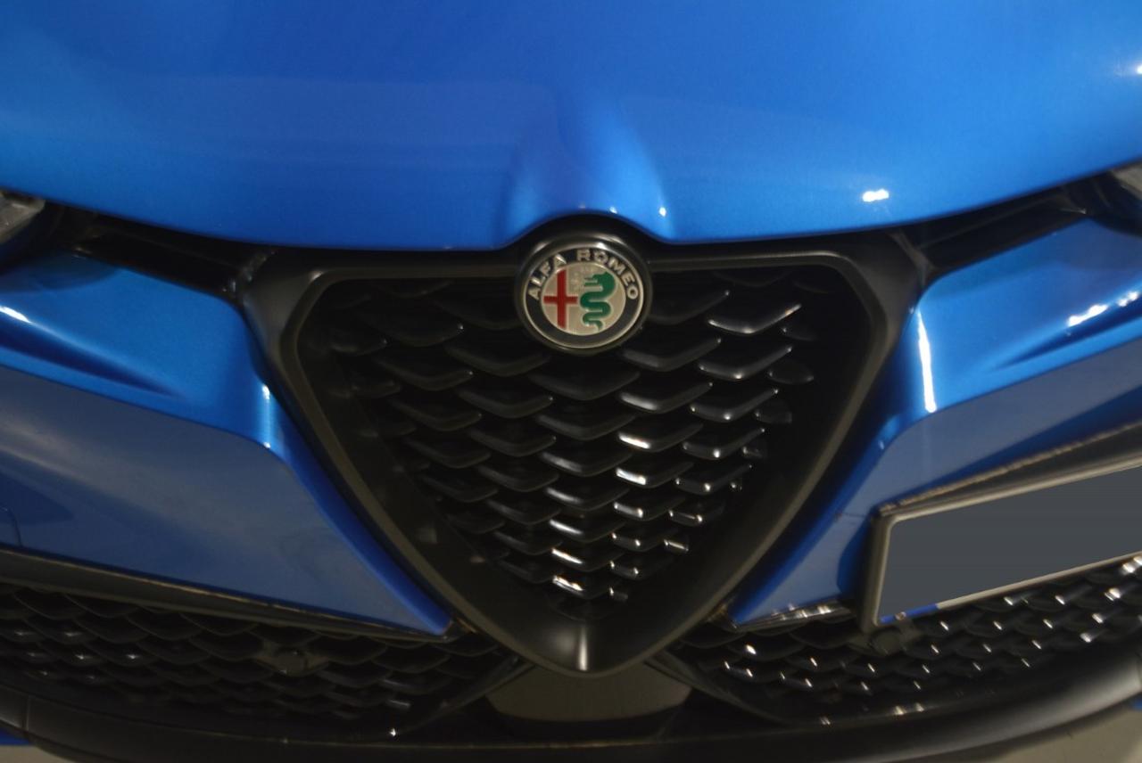 Alfa Romeo Alfa Romeo Tonale usata 13