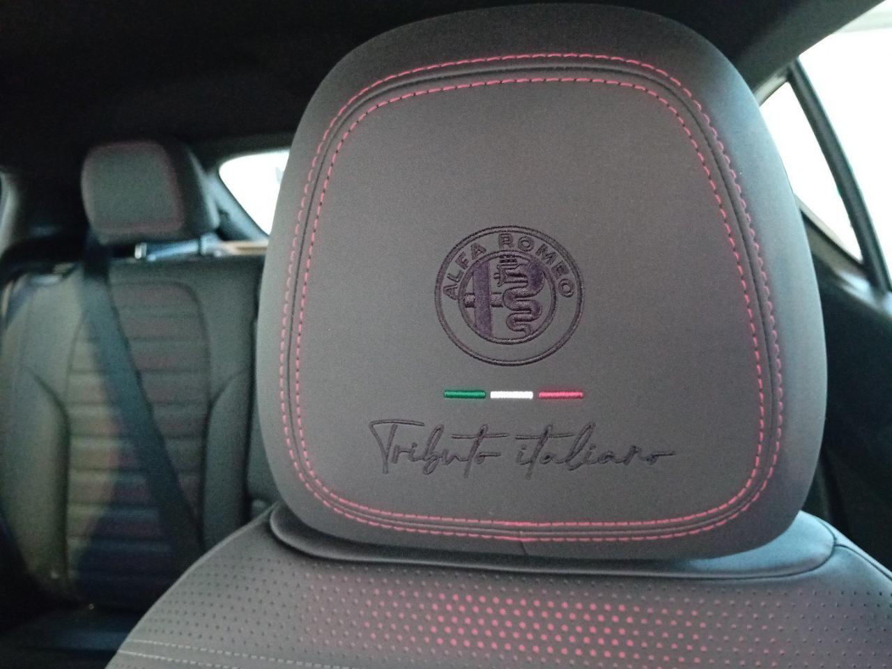 Alfa Romeo Alfa Romeo Tonale usata, con airbag