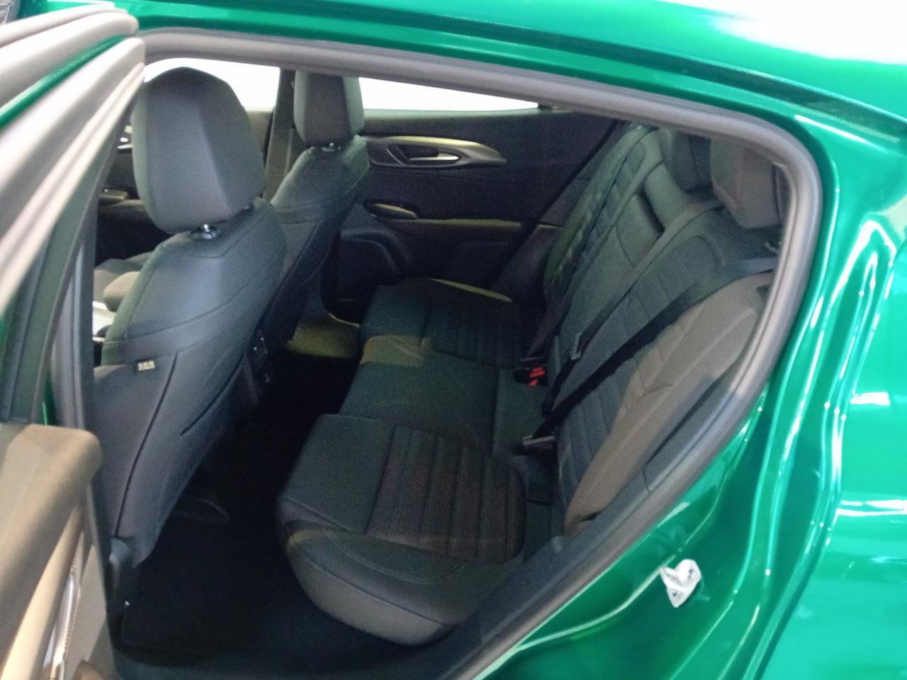 Alfa Romeo Alfa Romeo Tonale usata 10