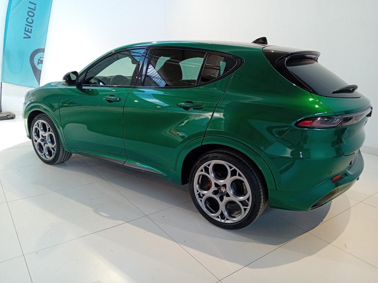 Alfa Romeo Alfa Romeo Tonale usata 16