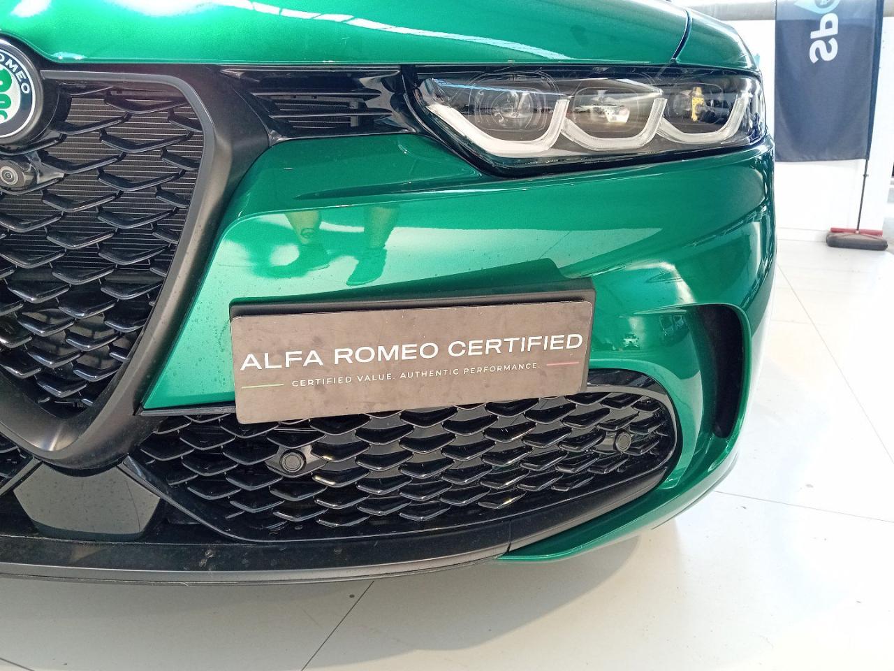 Alfa Romeo Alfa Romeo Tonale usata 18