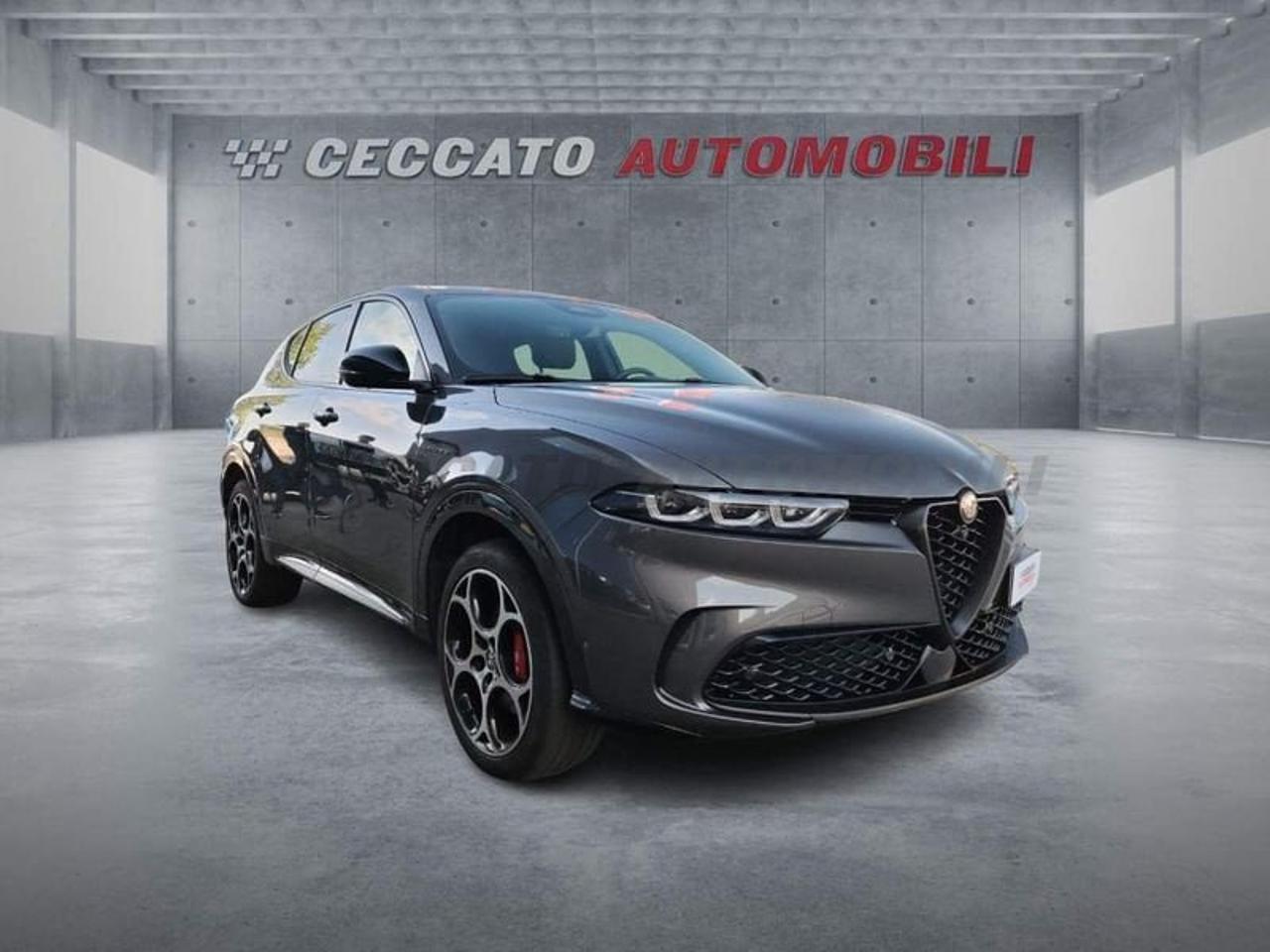 Alfa Romeo Alfa Romeo Tonale usata 7