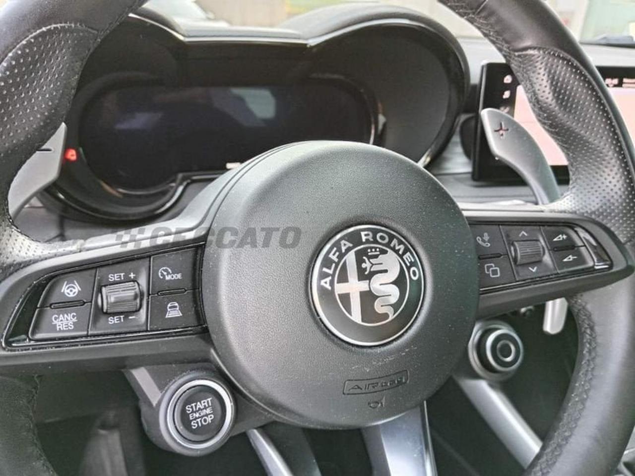 Alfa Romeo Alfa Romeo Tonale usata 14